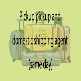 Pickup pickup and domestic shipping agent (same day)